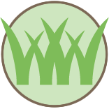 Santa Rosa Beach Lawn Mowing