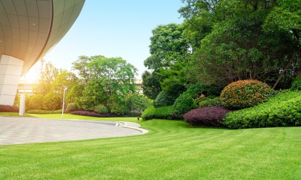 Cost of Commercial Lawn Mowing in Santa Rosa Beach