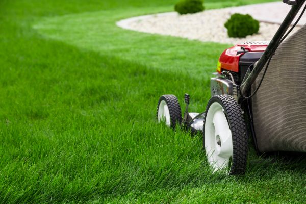 Cost of Grass Cutting Service in Santa Rosa Beach