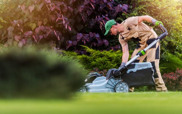 Cost of Lawn Care And Maintenance in Santa Rosa Beach