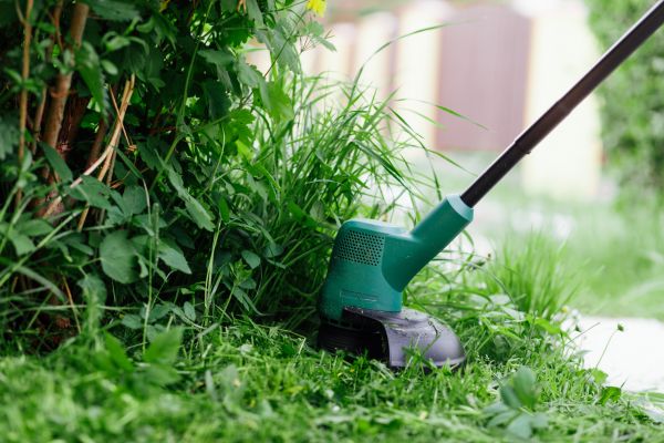 Cost of Weed Whacking in Santa Rosa Beach