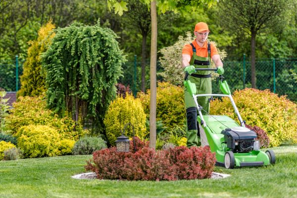 Cost of Yard Service in Santa Rosa Beach