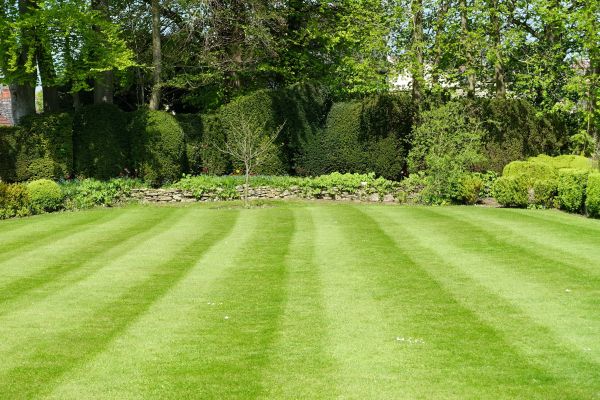 Cost of Grass Care Service in Santa Rosa Beach