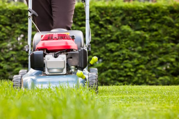 Cost of Grass Trimming Service in Santa Rosa Beach
