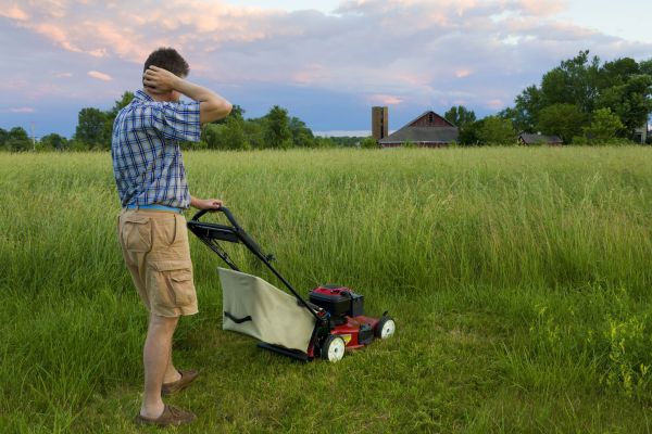 Spring Lawn Servicing