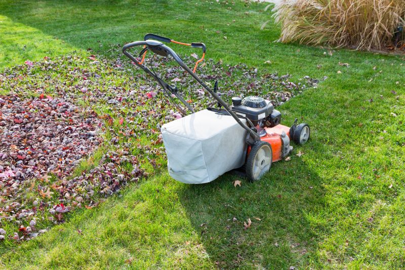 Seasonal Lawn Equipment