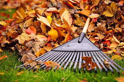 Fall Lawn Maintenance Tools