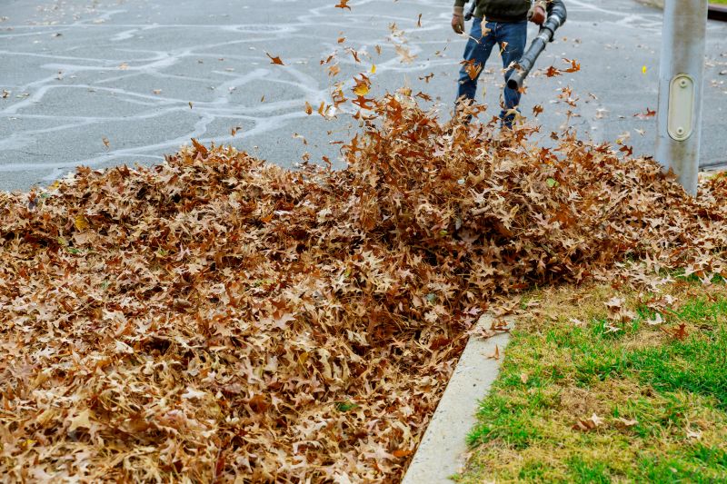 Leaf Mowing